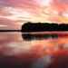 Profile Picture of James Riebe (@jriebe81) on Pinterest