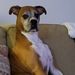 Profile Picture of david linkous (@davidlinkous) on Pinterest
