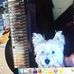Profile Picture of Martin Wong (@martin.wong.90260) on Facebook
