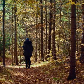 Profile Picture of Cassandra Keenan (@caskeenan) on Instagram