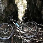 Profile Picture of Bryan Quach (@mtbquach) on Instagram