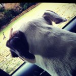 Profile Picture of cindybruening (@cindybruening) on Instagram