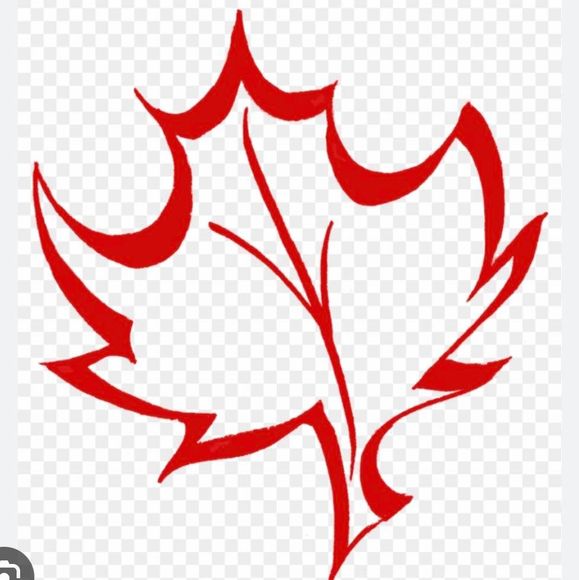 Profile Picture of Janet Gibson-janicki (@janjan1965) on Poshmark