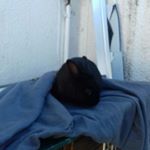 Profile Picture of kevin halbig (@kevinhalbig) on Instagram