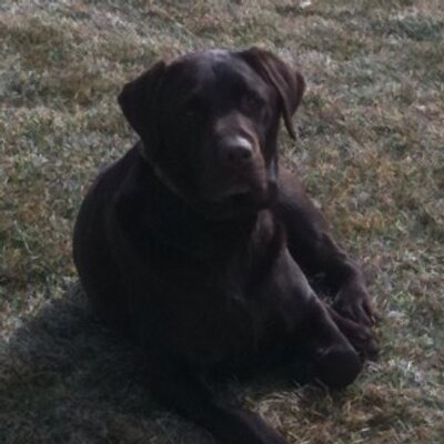 Profile Picture of Jon Weiler (@weiler84) on Twitter