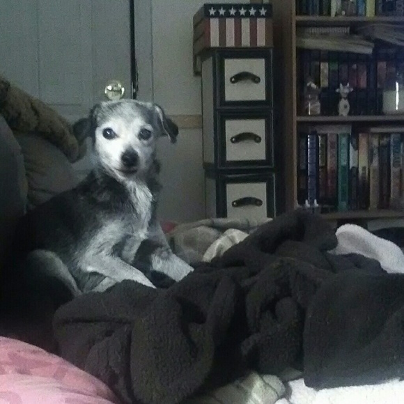 Profile Picture of Cathy Perkins (@cperkins1971) on Poshmark