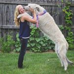 Profile Picture of Murphy James 🐺 and Annie 🙋🏼 (@murphythewolfie) on Instagram