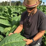 Profile Picture of Cesar Reyes (@cesarreyes2127) on Instagram