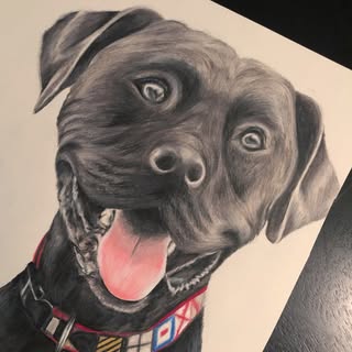 Profile Picture of Randi Fuchs (@pawtraits.byrandi) on Instagram