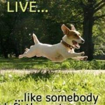 Joseph Segraves - Twitter Profile Picture of Joseph Segraves (@joe_segraves) on Twitter