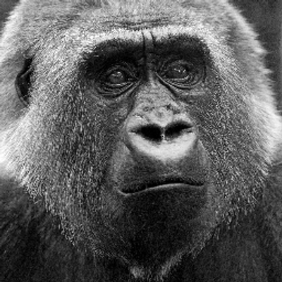 Profile Picture of Paul (@Sculley67) on Twitter