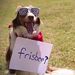 Profile Picture of Thomas Swafford (@tdstylee) on Pinterest
