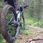 Jack Rainey - Instagram Profile Picture of Jack Rainey (@jcr3_9598) on Instagram