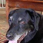 Profile Picture of Dave Dechant (@dave.dechant) on Instagram