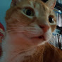 Profile Picture of carrowsboy (@@carrowsboy) on Tiktok