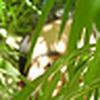 Profile Picture of Rodrigo Concha (@O'Conroy has a picnic) on Flickr