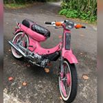 Profile Picture of Candyce Martins (@candycemartins) on Instagram