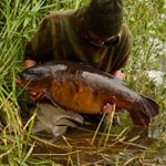 Profile Picture of Harry Bennett (@harryb_94hg) on Instagram