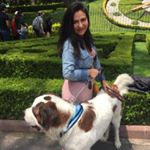 Profile Picture of Michelle Zamudio (@michismich) on Instagram