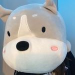 Profile Picture of Danny Liang (@d.an.ny_) on Instagram