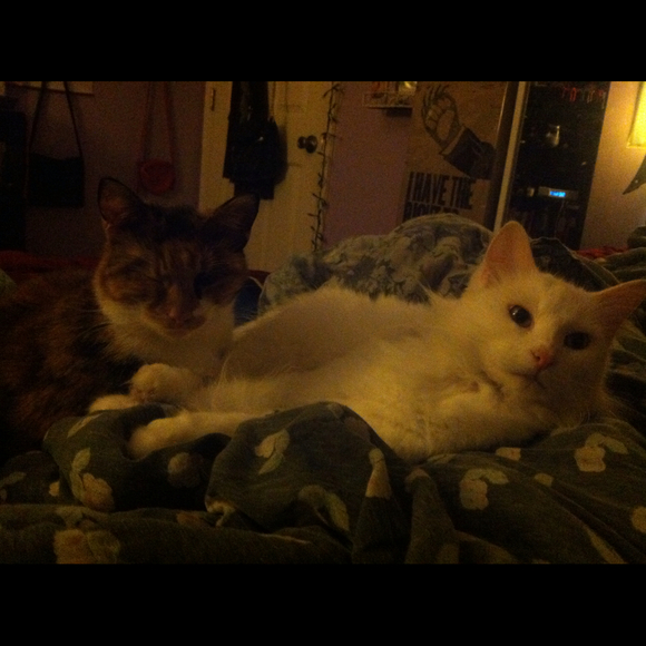 Profile Picture of Ariel Logan (@arielleigh) on Poshmark