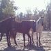 Profile Picture of Robin Joslin (@robinjoslin) on Pinterest