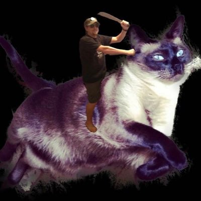 Profile Picture of James Fore (@jimmyjames4) on Twitter