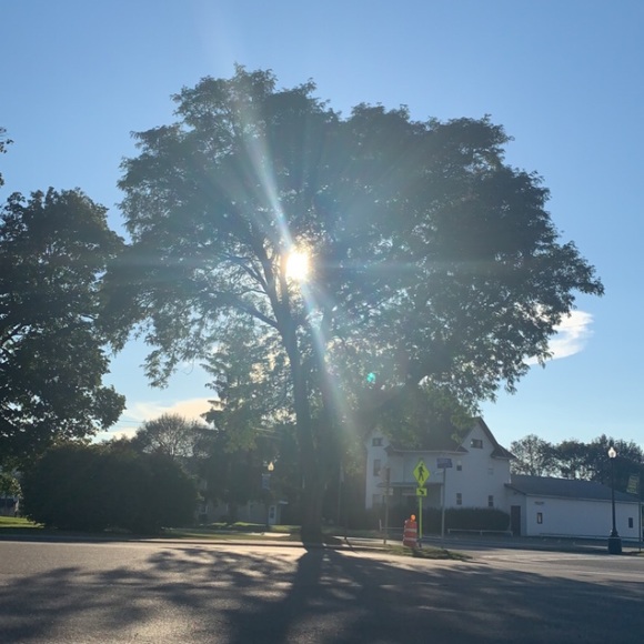 Profile Picture of Adrienne Ollberding (@adriiio13) on Poshmark