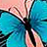 Profile Picture of Tracy Pavich (@tracy's music) on Flickr