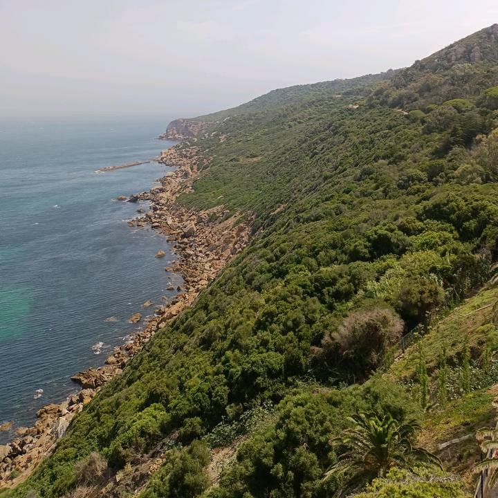 Profile Picture of PamelaTran (@xcl7fbjnt65) on Tiktok