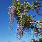 Tadeusz Ostrowski - Instagram Profile Picture of Tadeusz Ostrowski (@tadeusz.ostrowski.98622) on Instagram