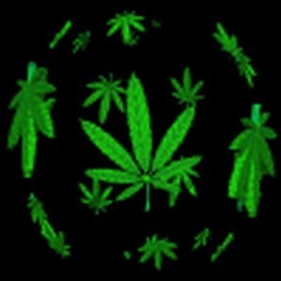 Profile Picture of Dwayne Marsh (@MarshDwayne65) on Twitter