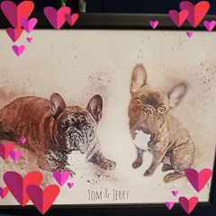 caronwallacefinch - Tiktok Profile Picture of caronwallacefinch (@caronwallacefinch) on Tiktok