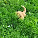 Profile Picture of Debbie Kohl Weber (@weberd) on Instagram