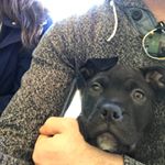 Matthew Hennessey - Instagram Profile Picture of Matthew Hennessey (@henny4matt) on Instagram