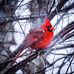 Profile Picture of Barbara Stroh (@Barbara-Stroh) on Facebook