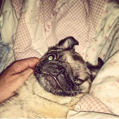 Profile Picture of Jordan Kehoe (@jordankehoe01) on Twitter