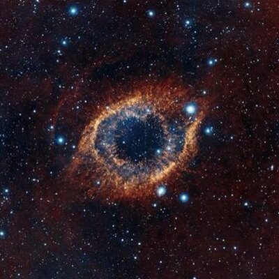 Profile Picture of Melissa Bushell (@Melissa_Bushell) on Twitter