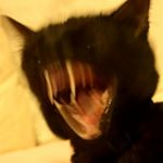 Profile Picture of Paul auer (@auer359) on Instagram