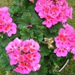 Jennifer Jacobs Barney - Instagram Profile Picture of Jennifer Jacobs Barney (@j.barney) on Instagram