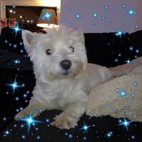 Profile Picture of Bo Madsen (@bo-madsen-4) on Quora