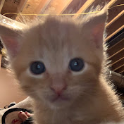 Profile Picture of Dylan Hitt (@dylanhitt5673) on Youtube