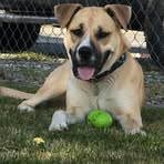 Profile Picture of Jeff Eddings (@jeff.eddings.10) on Facebook