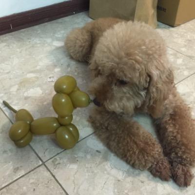 Profile Picture of Chiu  Lien Huang (@chiu_lien) on Twitter