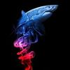 Profile Picture of Joseph Labeeb (@@josephlabeeb) on Tiktok