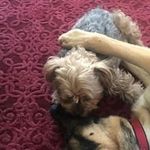 Profile Picture of Sandra Keenan (@sandra.keenan.752) on Instagram
