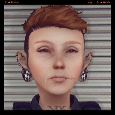 Profile Picture of Dakota Wolfe (@WolfeDove) on Twitter