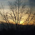 Profile Picture of Alley♡ (@alleyjoness) on Instagram