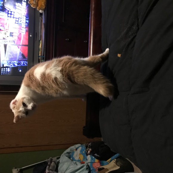 Profile Picture of Cheryl Clay (@cheycy) on Poshmark