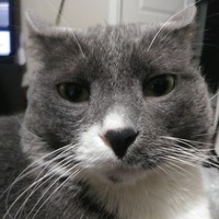 Profile Picture of Micah Potts-kahpeepatow (@micah-potts-kahpeepatow) on Quora